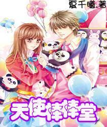 狗狗物品记忆卡