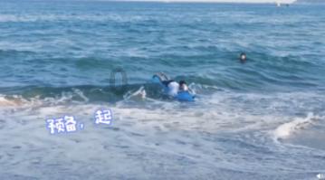 蛇蛇争霸