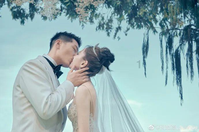 可爱小猫向上跳