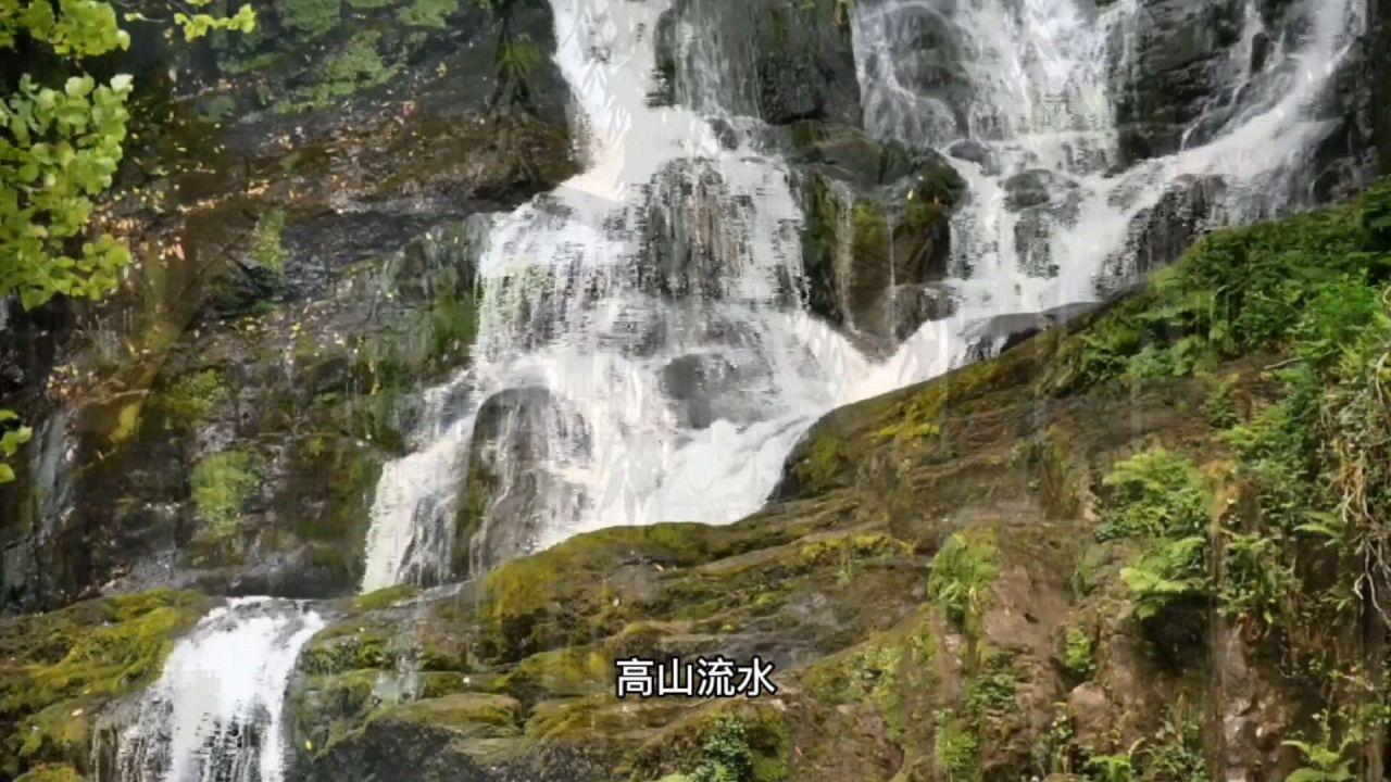 农畜山羊逃脱