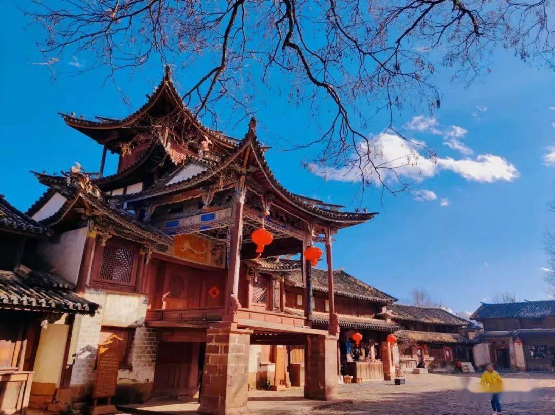 学习插花艺术