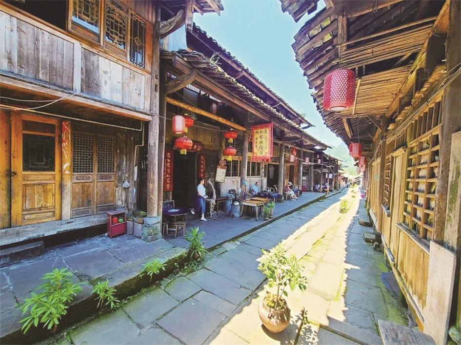 动物帮帮忙保卫家园