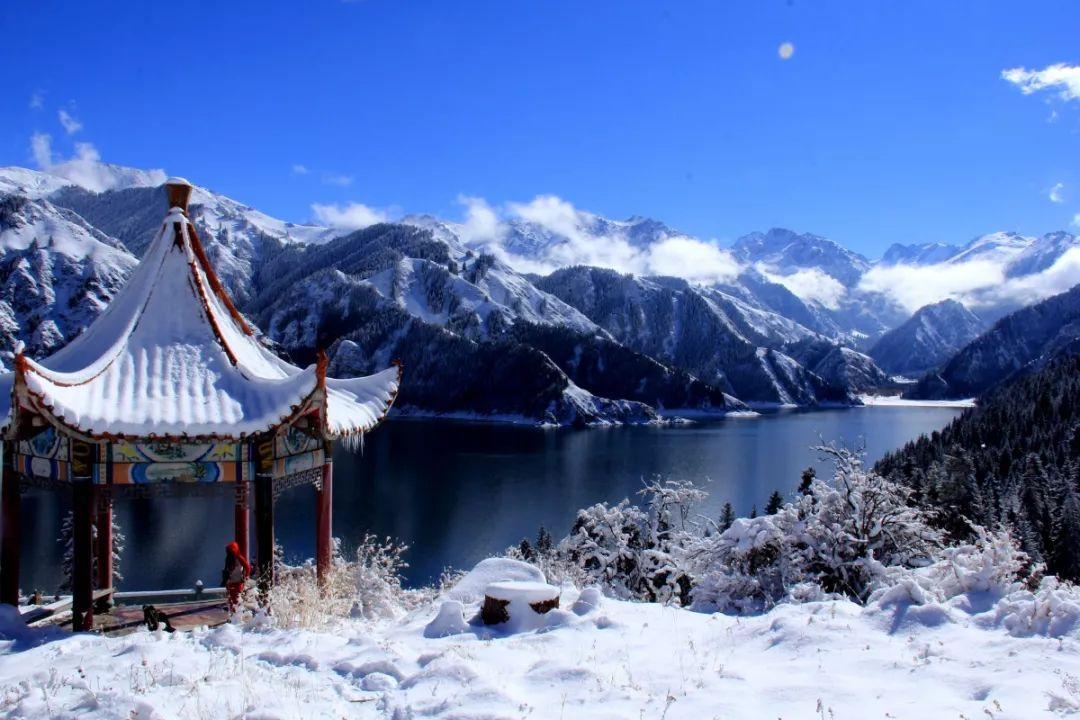 银河中动物逃生